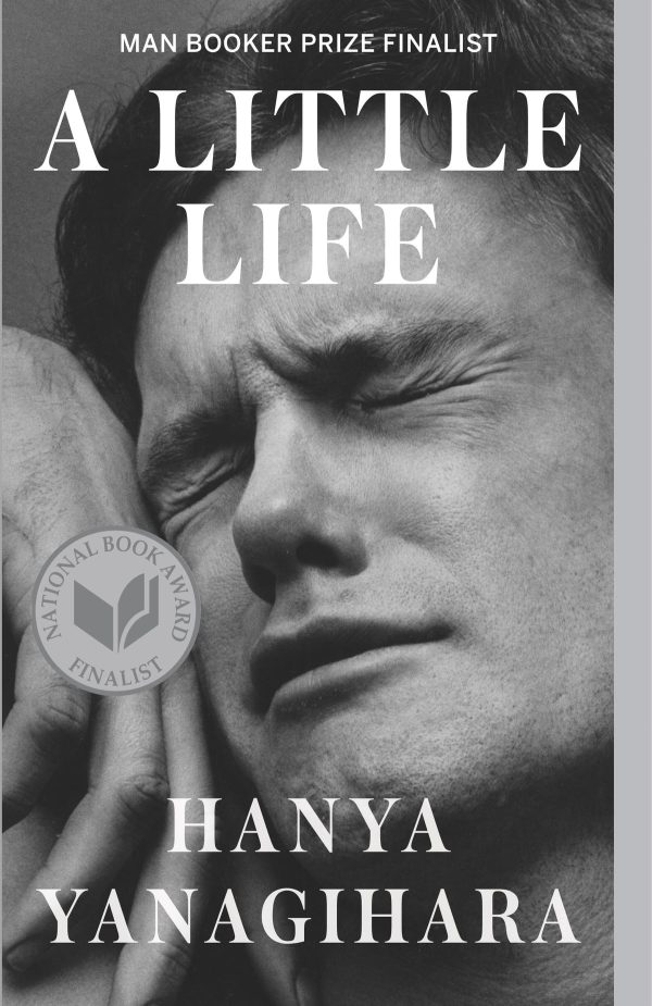 A critically acclaimed bestseller recommendation: A little life audiobook