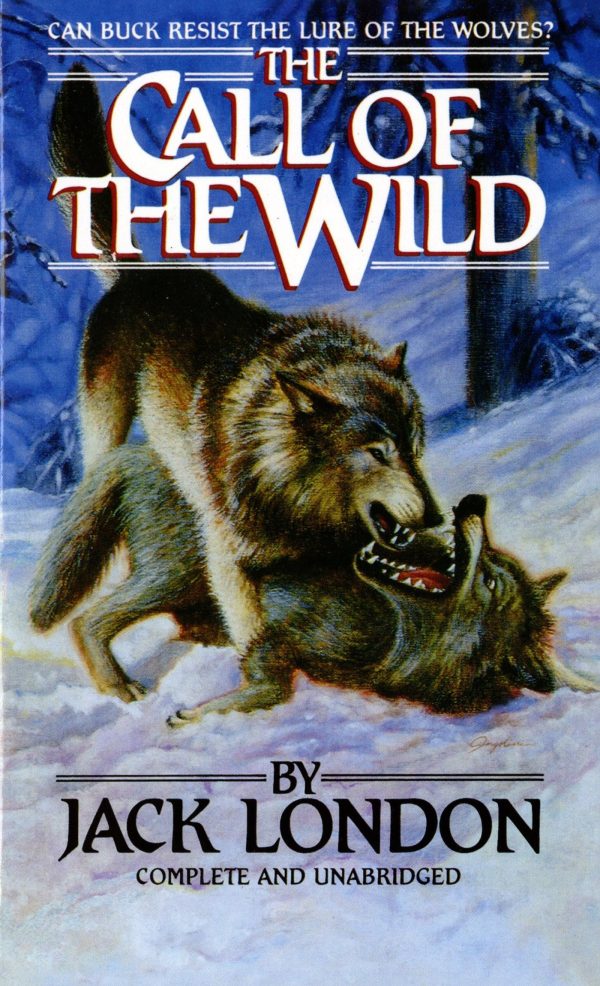 The Call of the Wild audiobook by Jack London